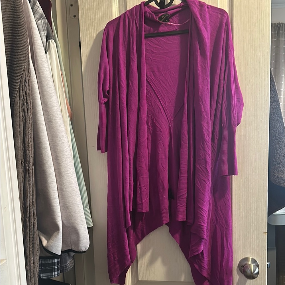 Women's Purple Sweater
